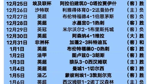 勒沃库森领跑德甲，两翼助力优势明显，领先10分